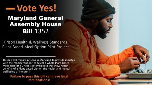 2022 Health Law Album